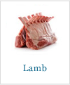 Lamb